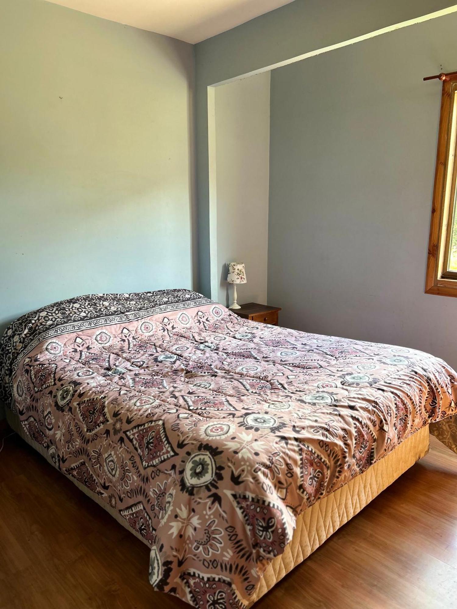 Quelen Patagonia Vandrerhjem Villa Cerro Castillo Eksteriør bilde
